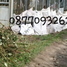 viber_изображение_2022-01-07_12-47-28-995