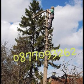 viber_изображение_2022-01-07_12-49-13-978